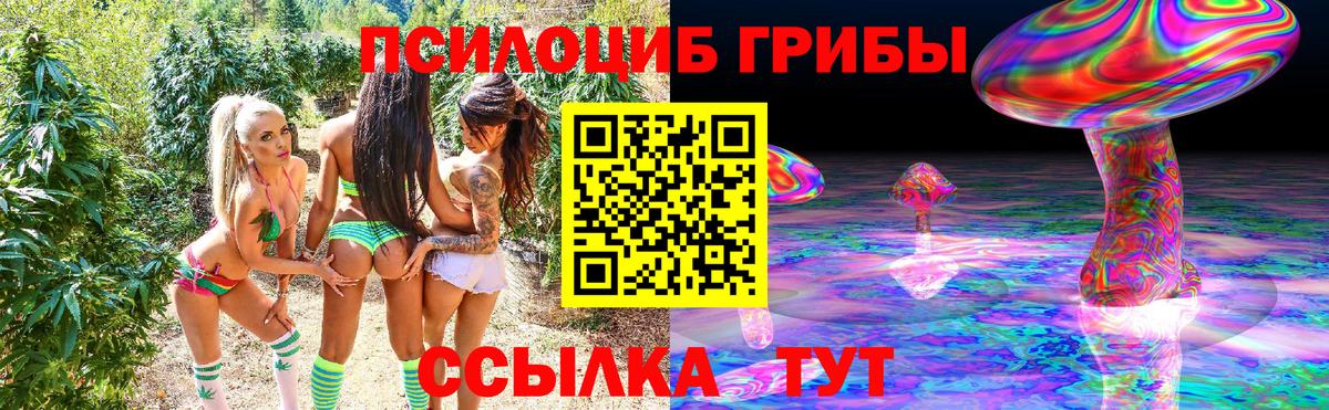 Валуйки  Псилоцибиновые грибы Psilocybine cubensis  Вход с VPN 