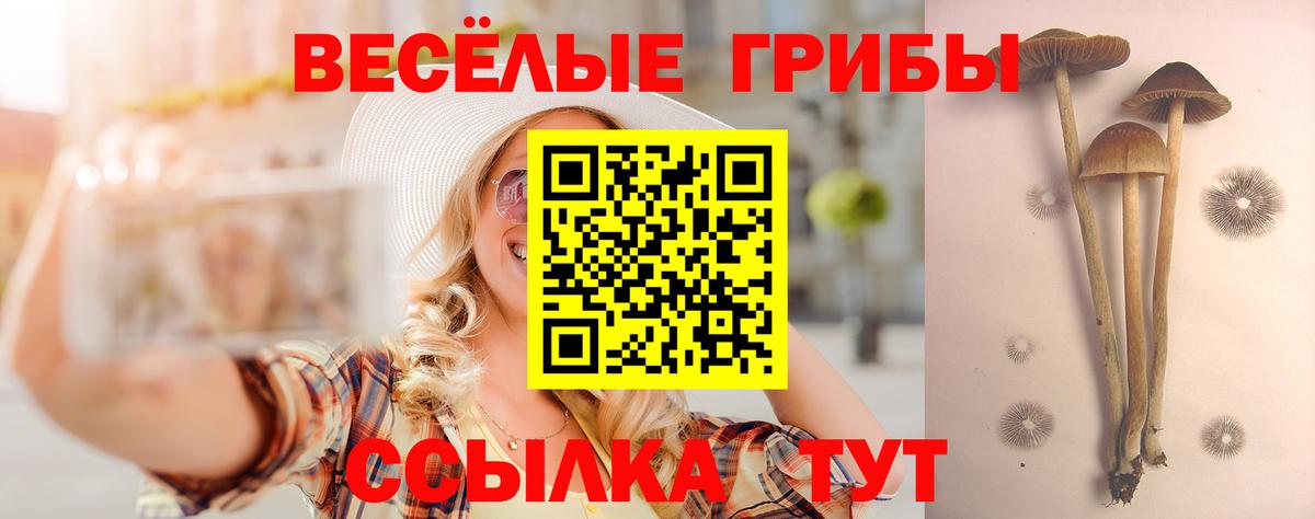 Псилоцибиновые грибы Psilocybine cubensis Валуйки