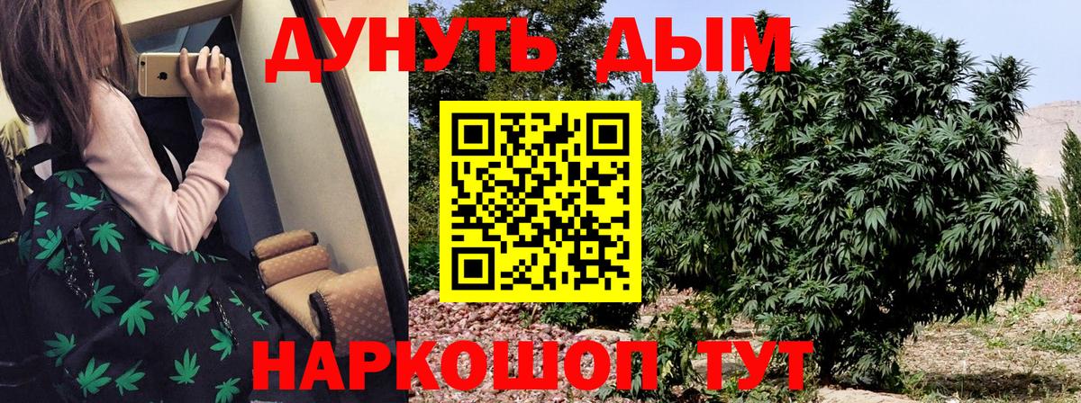 Конопля Bruce Banner  Канабис конопля  Вход с VPN  Валуйки 